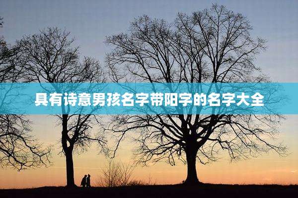 具有诗意男孩名字带阳字的名字大全