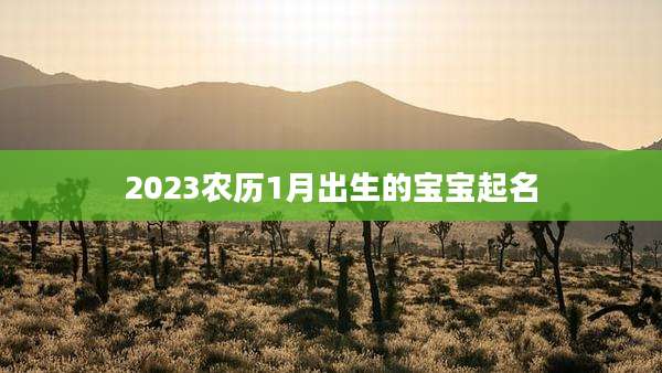 2023农历1月出生的宝宝起名