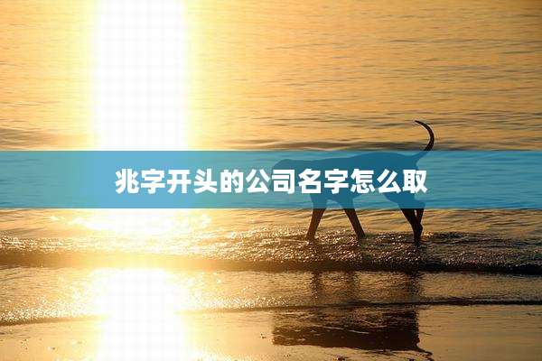 兆字开头的公司名字怎么取