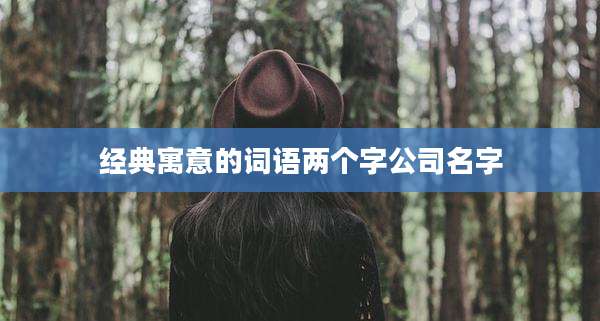 经典寓意的词语两个字公司名字