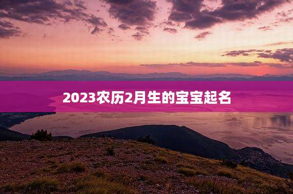 2023农历2月生的宝宝起名