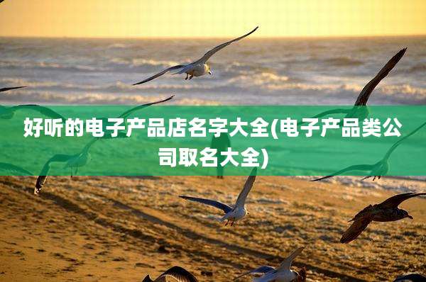好听的电子产品店名字大全(电子产品类公司取名大全)