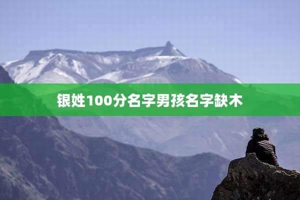 银姓100分名字男孩名字缺木