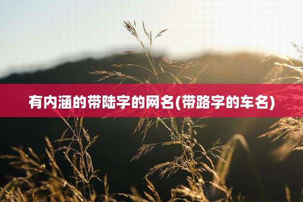 有内涵的带陆字的网名(带路字的车名)