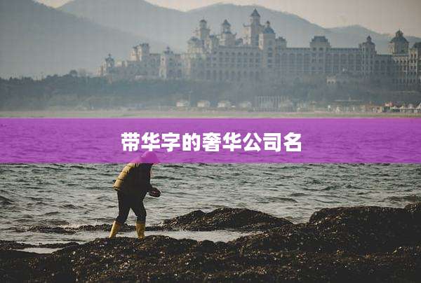 带华字的奢华公司名