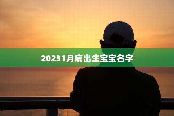 20231月底出生宝宝名字