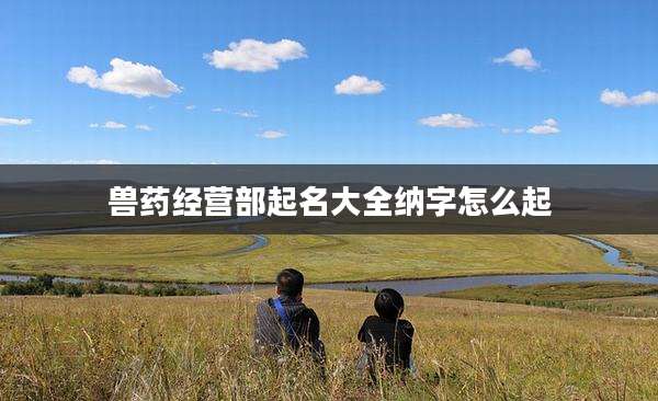 兽药经营部起名大全纳字怎么起