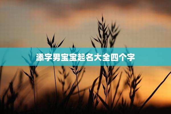 添字男宝宝起名大全四个字