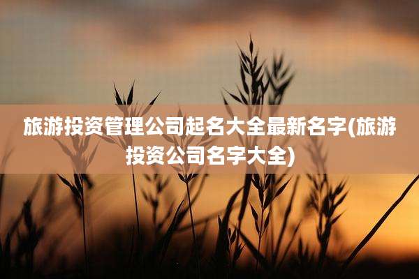 旅游投资管理公司起名大全最新名字(旅游投资公司名字大全)