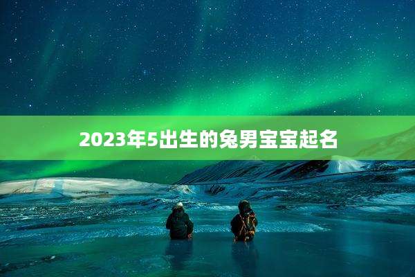 2023年5出生的兔男宝宝起名