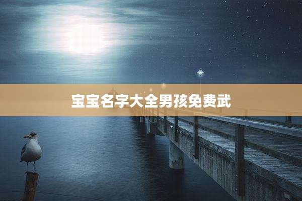 宝宝名字大全男孩免费武