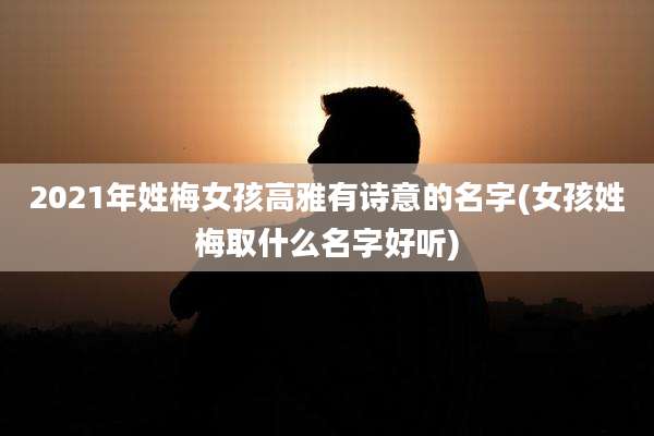2021年姓梅女孩高雅有诗意的名字(女孩姓梅取什么名字好听)