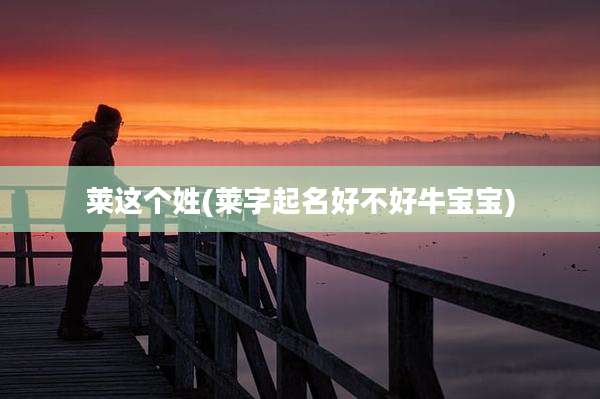 莱这个姓(莱字起名好不好牛宝宝)