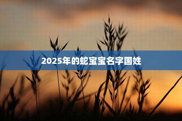 2025年的蛇宝宝名字国姓