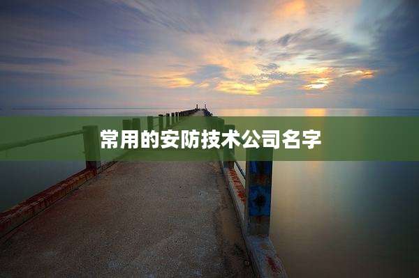 常用的安防技术公司名字