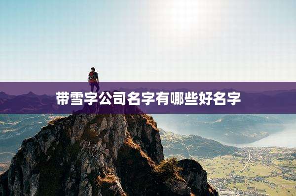 带雪字公司名字有哪些好名字