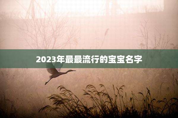 2023年最最流行的宝宝名字