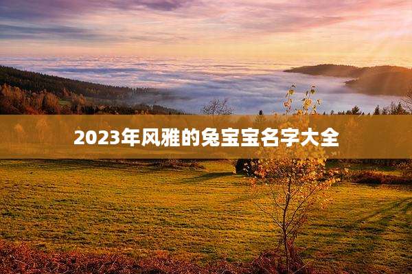 2023年风雅的兔宝宝名字大全