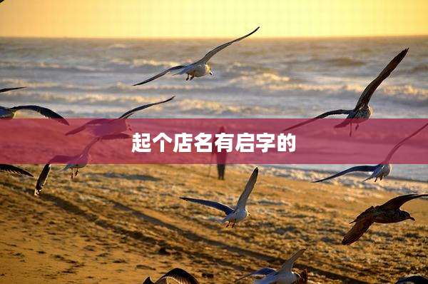起个店名有启字的