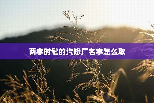 两字时髦的汽修厂名字怎么取
