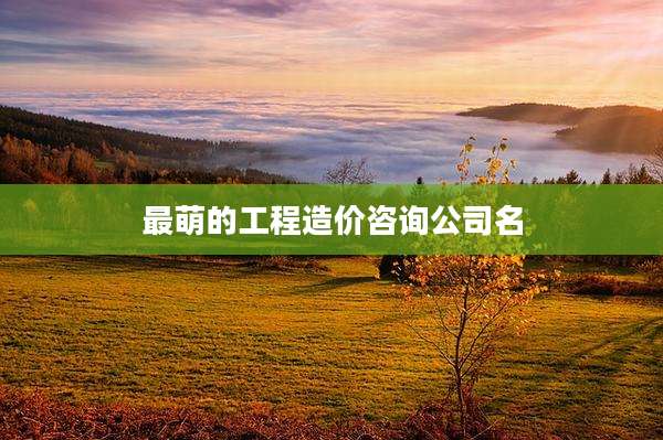 最萌的工程造价咨询公司名