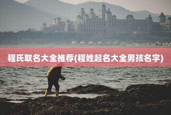 程氏取名大全推荐(程姓起名大全男孩名字)