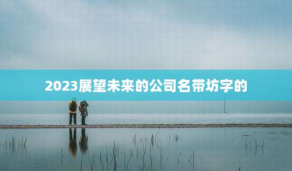 2023展望未来的公司名带坊字的