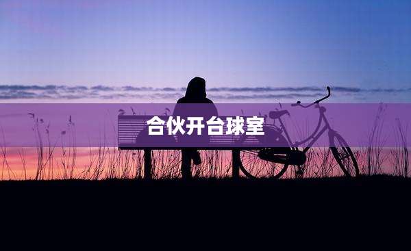 合伙开台球室