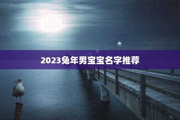 2023兔年男宝宝名字推荐