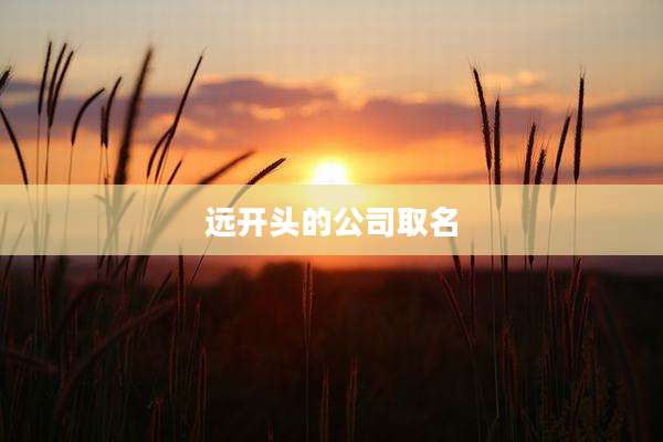远开头的公司取名