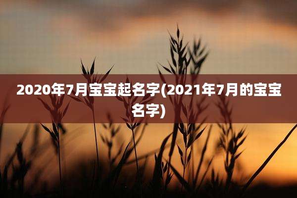 2020年7月宝宝起名字(2021年7月的宝宝名字)