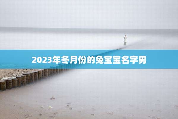 2023年冬月份的兔宝宝名字男