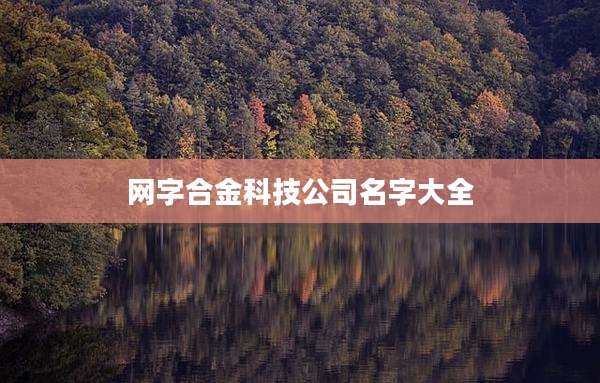 网字合金科技公司名字大全