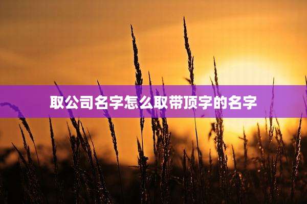 取公司名字怎么取带顶字的名字