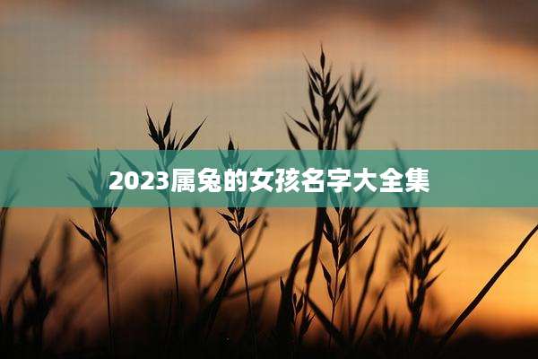 2023属兔的女孩名字大全集