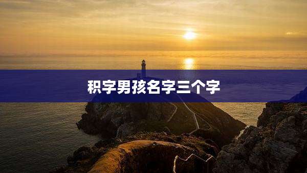 积字男孩名字三个字