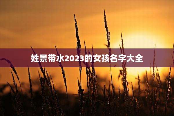 姓景带水2023的女孩名字大全
