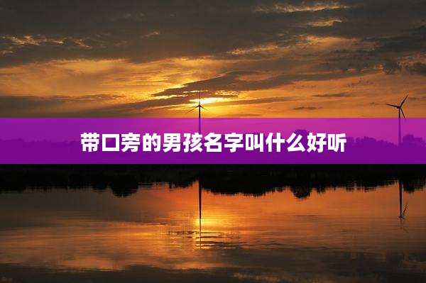 带口旁的男孩名字叫什么好听