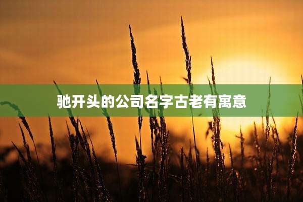 驰开头的公司名字古老有寓意