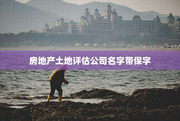 房地产土地评估公司名字带保字