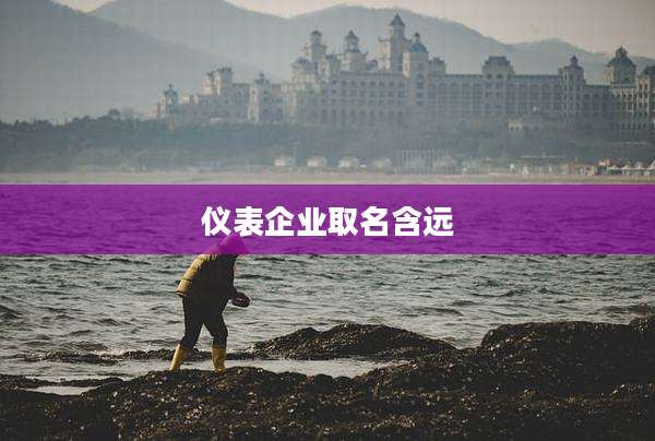 仪表企业取名含远