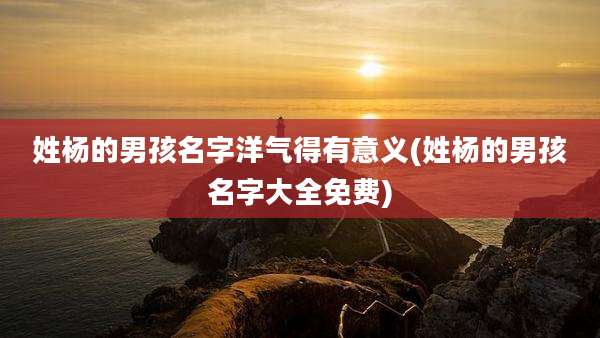 姓杨的男孩名字洋气得有意义(姓杨的男孩名字大全免费)