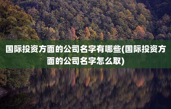 国际投资方面的公司名字有哪些(国际投资方面的公司名字怎么取)