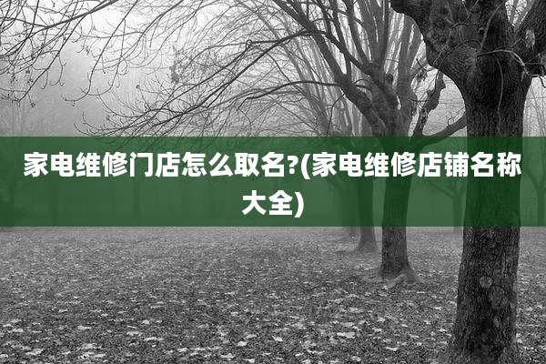 家电维修门店怎么取名?(家电维修店铺名称大全)