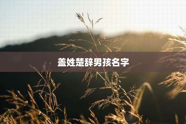 盖姓楚辞男孩名字