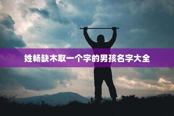 姓畅缺木取一个字的男孩名字大全
