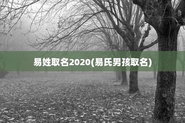 易姓取名2020(易氏男孩取名)