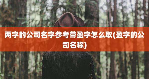 两字的公司名字参考带盈字怎么取(盈字的公司名称)