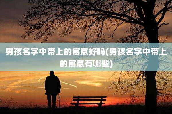 男孩名字中带上的寓意好吗(男孩名字中带上的寓意有哪些)