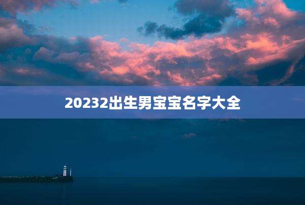20232出生男宝宝名字大全